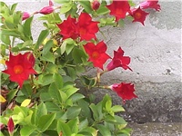 a8a8bd4c-Picture 008.jpg